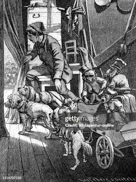 In monkey theatre, theatre, circus, dogs, monkeys dressed as humans, illustration from 1887 / Im Affentheater, Theater, Zirkus, Hunde, Affen als...