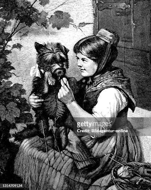 Girl with knitting, playing with her little dog, illustration from 1870 / Mädchen mit Strickzeug, spielt mit ihrem kleinen Hund, Illustration aus...