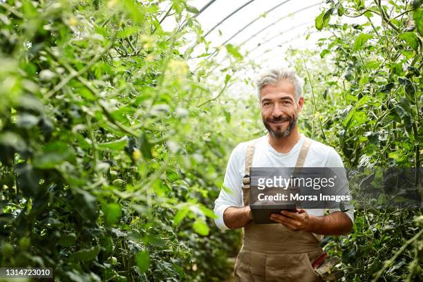 handsome male agronomist using digital tablet - agriculture business foto e immagini stock
