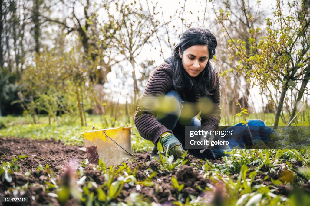 Woman weeding in the garden
