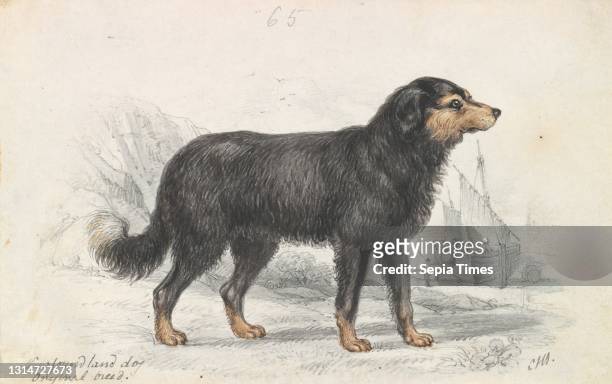 The Newfoundland Dog, Original Breed, Charles Hamilton Smith, 1776–1859, Belgian, ca. 1837, Watercolor, pen and brown ink, black ink and graphite on...