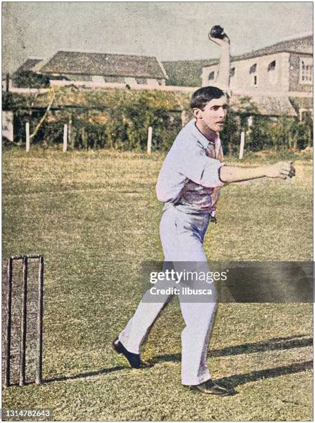 antique photo: cricket player - cricket spectator stock illustrations