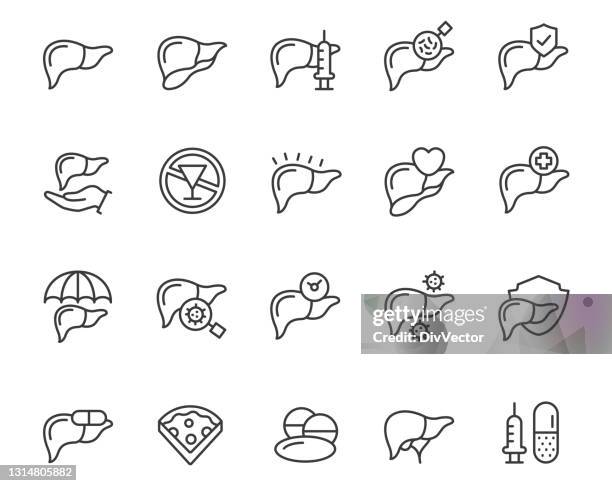 ilustrações de stock, clip art, desenhos animados e ícones de liver icon set - fígado