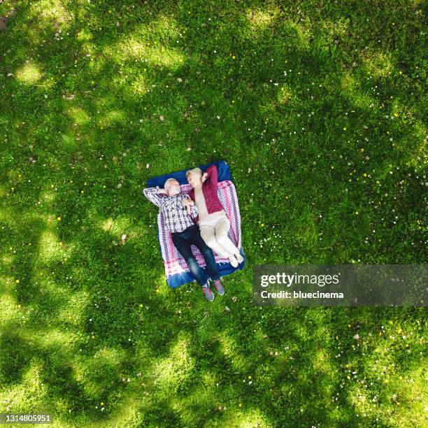 funny picnic - picnic overhead stock pictures, royalty-free photos & images