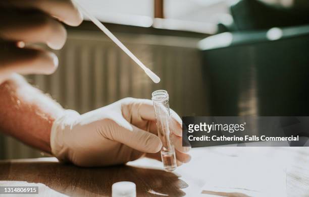 gloved hand dips a cotton swab in a transparent tube in clear solution - coronavirus stock-fotos und bilder