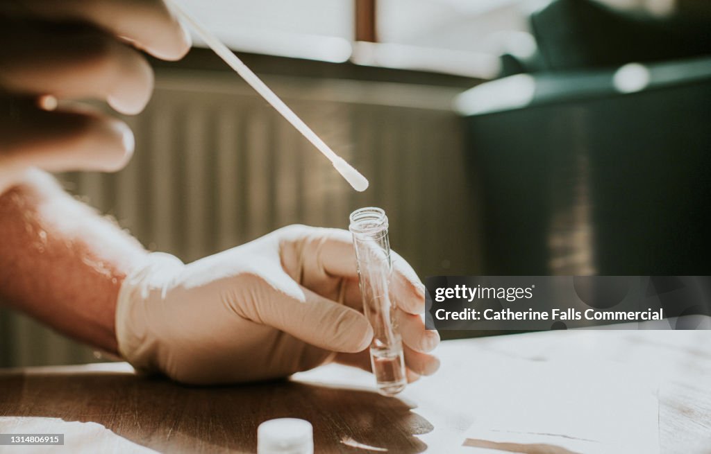Gloved hand dips a Cotton Swab in a Transparent Tube in Clear Solution