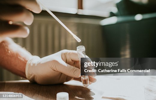 Gloved hand dips a Cotton Swab in a Transparent Tube in Clear Solution Gloved hand dips a Cotton Swab in a Transparent Tube in Clear Solution
