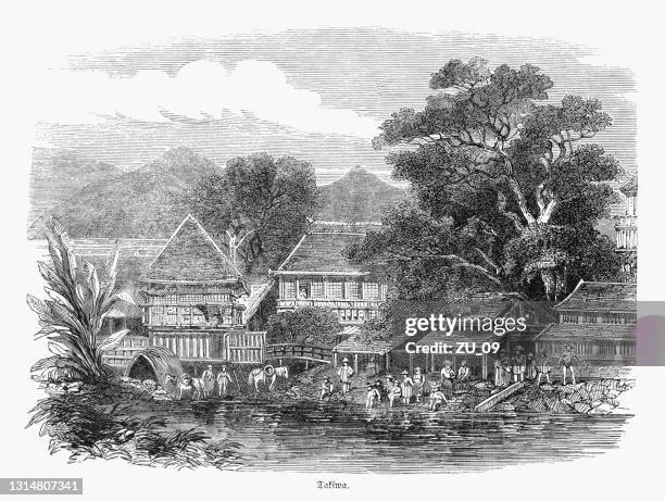 hot sulphur baths, takiwa, northern kyushu, japan, wood engraving, published in 1868 - japanese tree drawing stock illustrations