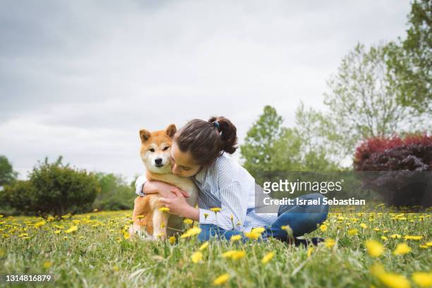 close-up view of a young caucasian woman sitting in a field of flowers while giving a tight hug to her shiba inu breed dog on a cloudy day. - cute shiba inu puppies stock pictures, royalty-free photos & images