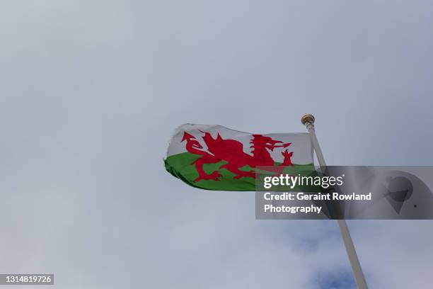 welsh dragon - welsh flag stock pictures, royalty-free photos & images