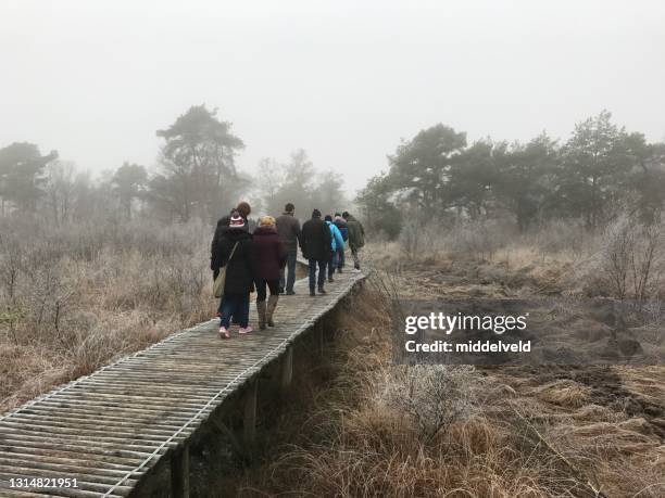 Cane Bridge Photos and Premium High Res Pictures - Getty Images