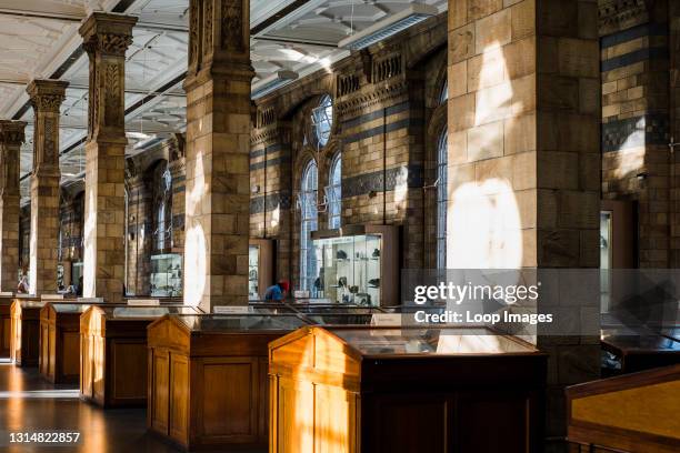 Natural History Museum Interior Photos and Premium High Res Pictures ...