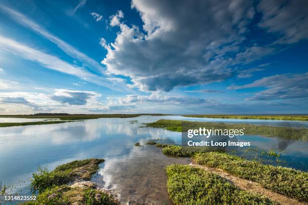 The Norfolk coastal saltmarsh is flooded at high tide.