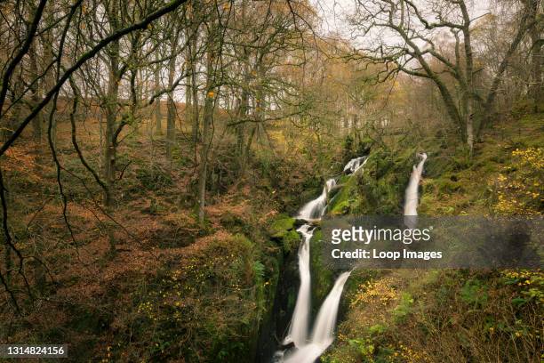 Stockghyll Force in an autumnal woodland in the English Lake District National Park.