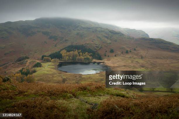 Blea Tarn and Wrynose Fell from Lingmoor Fell on a misty autumnal day in the English Lake District National Park.