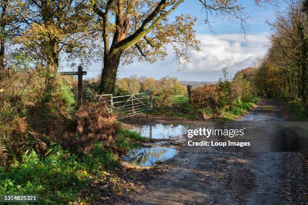 Wet and narrow country road in rural South Wales.