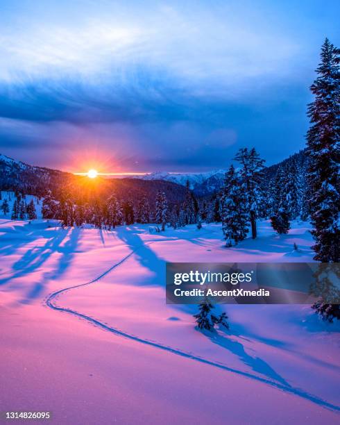 view across snowy field and trees to sunrising over distant horizon - change appearance stock pictures, royalty-free photos & images