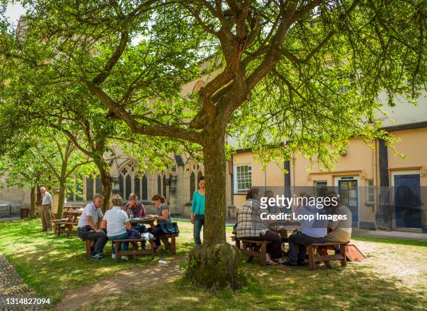 Cafe customers sitting in the shade of trees.
