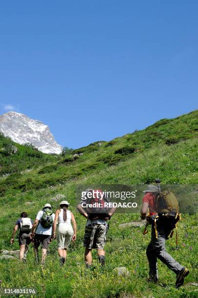 Trekking in Valsesia. Near Crespi Calderini Refuge. Vercelli Province. Piedmont. Italy. Europe.