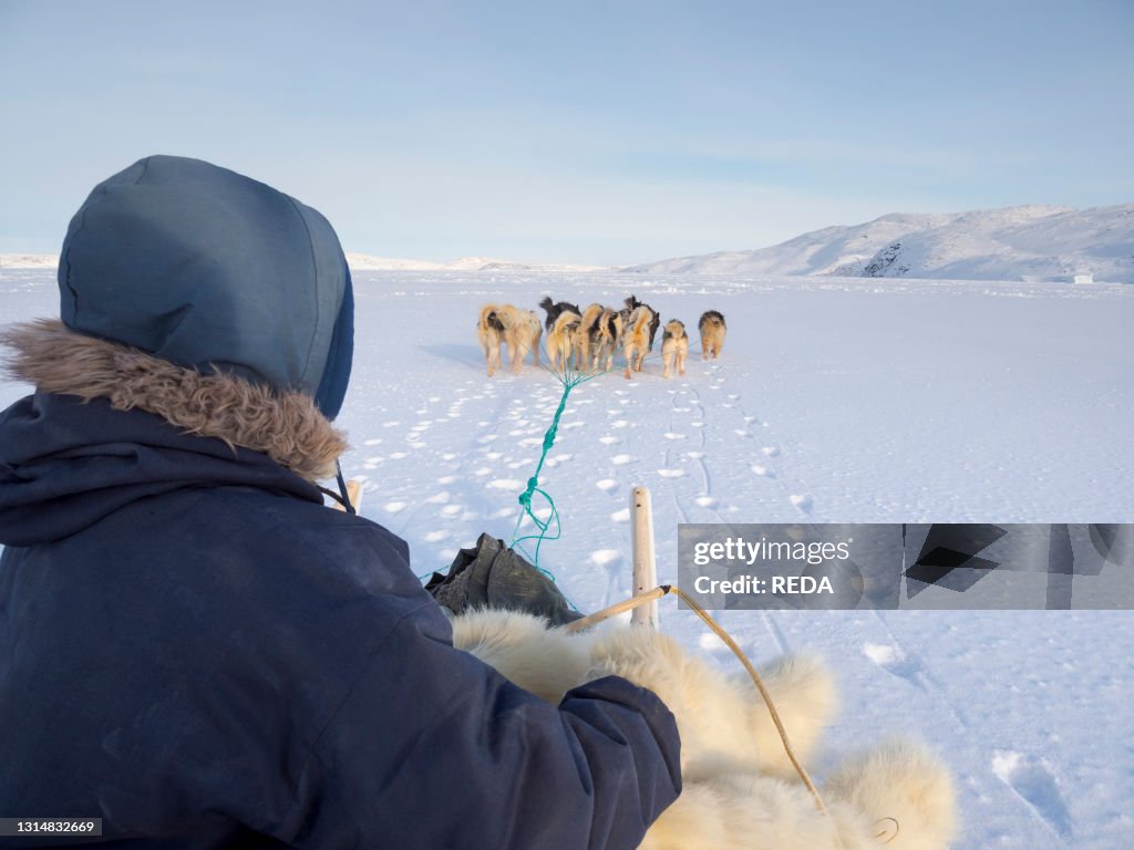 Inuit hunter on dog sled. wearing traditional trousers and boots made from polar bear fur on the sea ice of the Melville Bay near Kullorsuaq in North Greenland. North America. danish teritorry