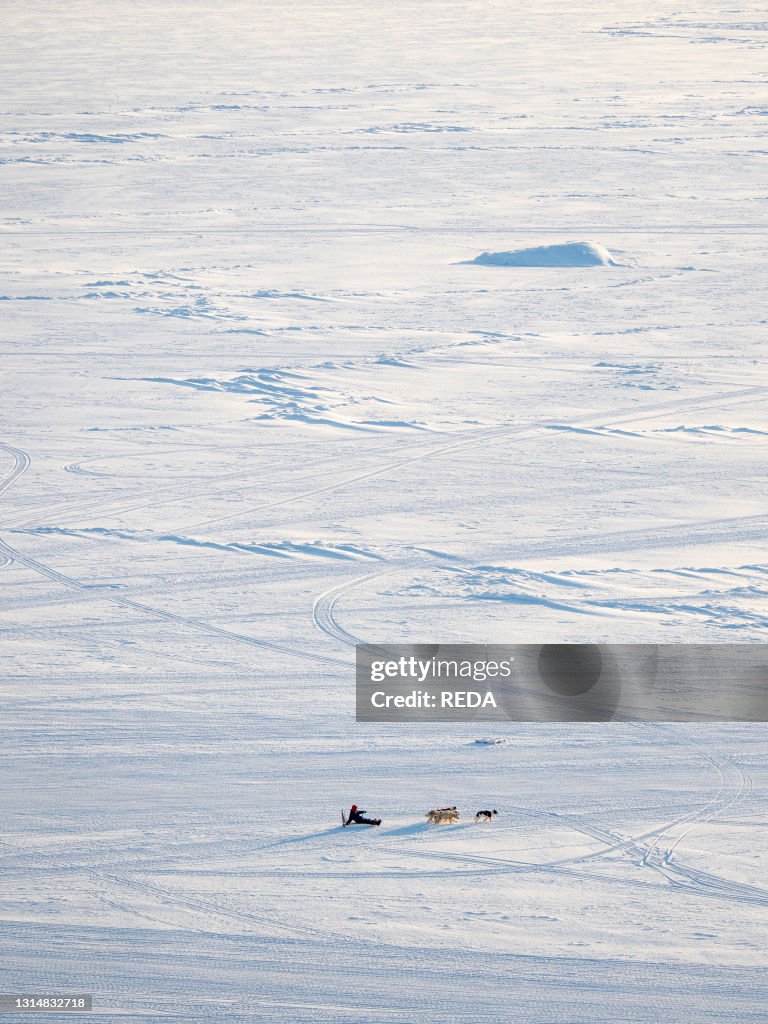 Dog sled in a fan hitch on the sea ice of the Melville Bay near Kullorsuaq in North Greenland. North America. danish teritorry