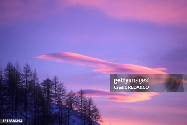 Sunset On The Trees. Gressoney Valley. Aosta Valley. Italy.