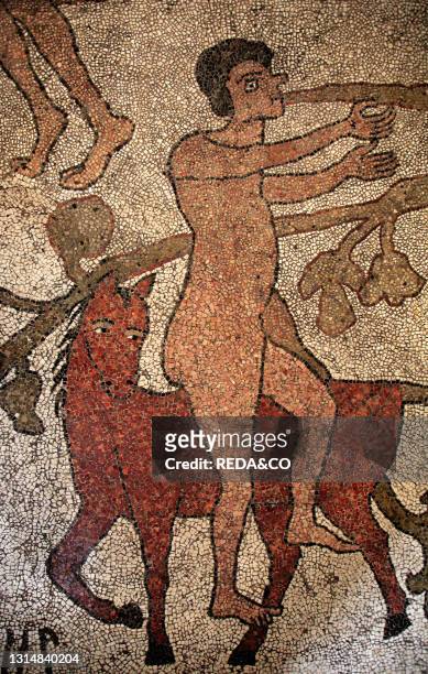 Cathedral. Mosaic floor. Otranto. Salento. Apulia. Italy. Europe.