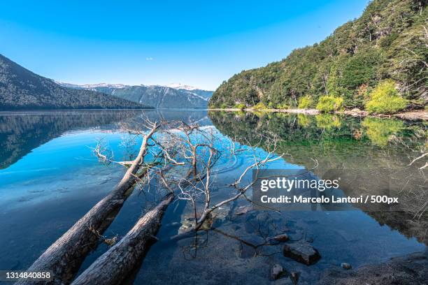 Traful Tree 46 Traful Lake Stock Photos, High-Res Pictures, and Images - Getty Images