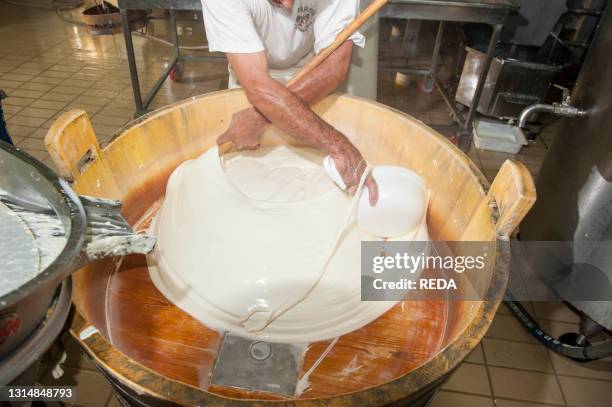 Production of the excellent buffalo mozzarella from Campania at the dairy La Baronia. Caserta. Campania. Italy.
