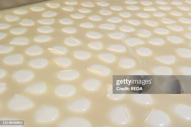 Production of the excellent buffalo mozzarella from Campania at the dairy La Baronia. Caserta. Campania. Italy.