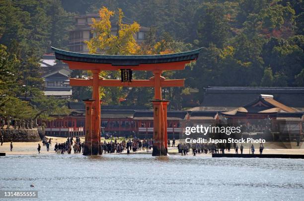 Miyajima is one of Japan's three most celebrated scenic sights..