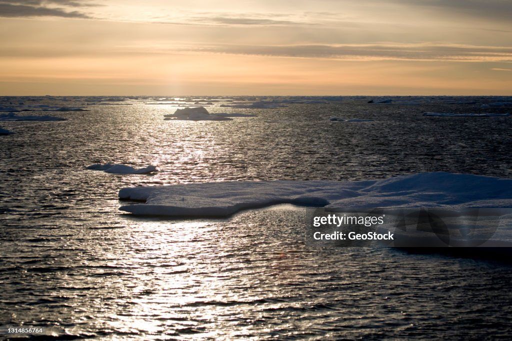 Drifting pack ice in the Canadian arctic