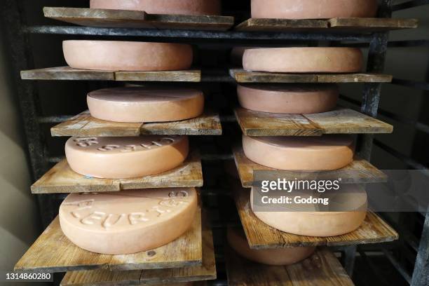 Traditional cheese factory in the french Alps. Wheels of cheese maturing on shelves in storehouse dairy cellar. France.