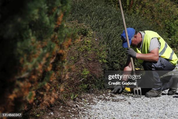 Colourful flowers in the village of Saint Gervais les Bains in the French Alps. Gardener at work. France.