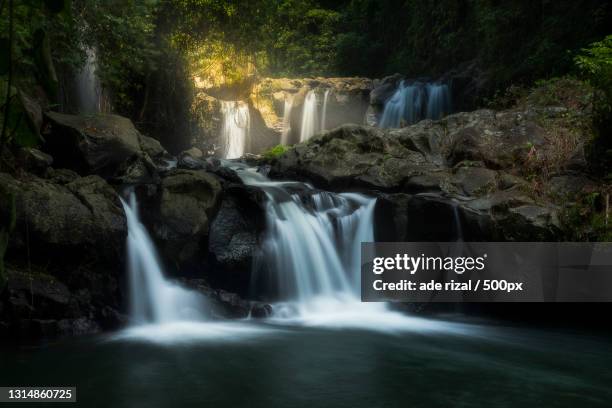 scenic view of waterfall in forest - ade rizal stockfoto's en -beelden