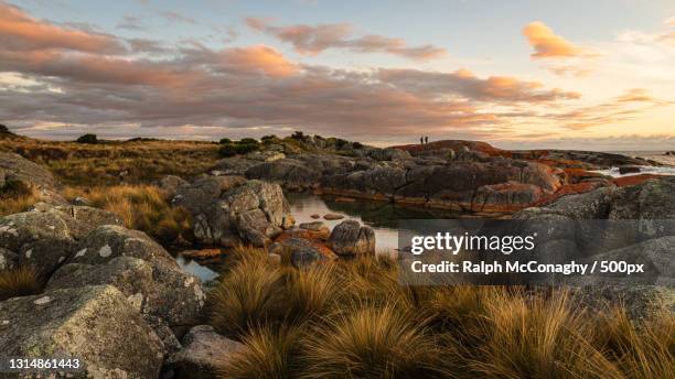 scenic view of landscape against sky during sunset,bay of fires,tasmania,australia - bay of fires - fotografias e filmes do acervo