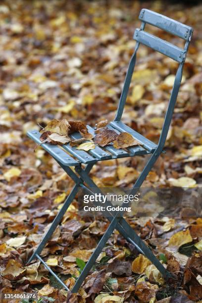 Garden chair bestrewn with fallen leaves in the autumn. France.