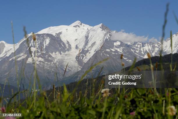 The Mont Blanc massif, the highest mountain of Europe seen from the french side on a beautiful summer day.