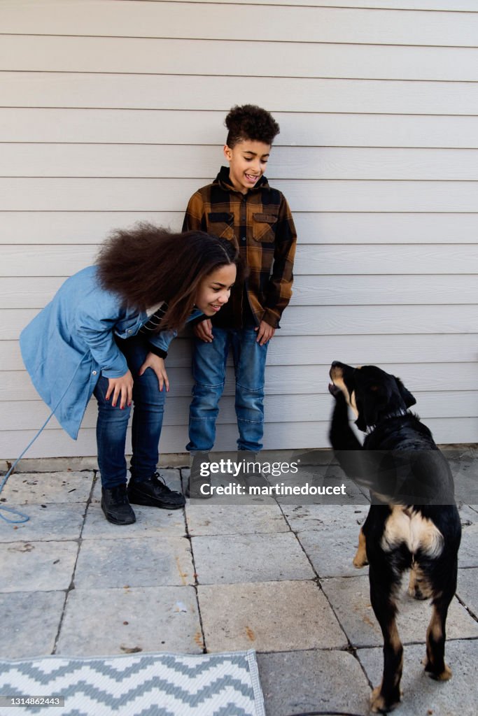 Mixed-race preteen siblings playing with dog outdoors.
