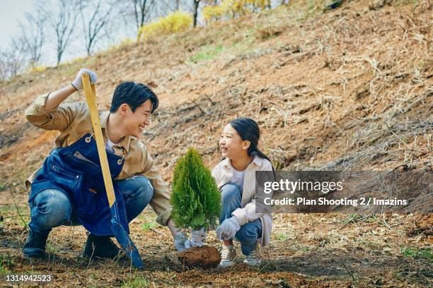 a man and kid planting tree - family planting tree foto e immagini stock