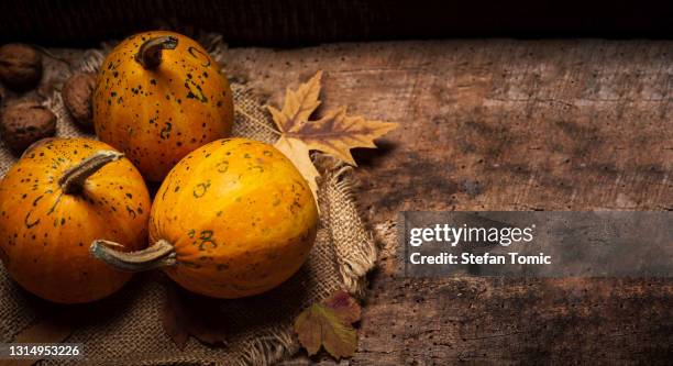 pumpkins on a rustic wooden table. - gourd stock pictures, royalty-free photos & images