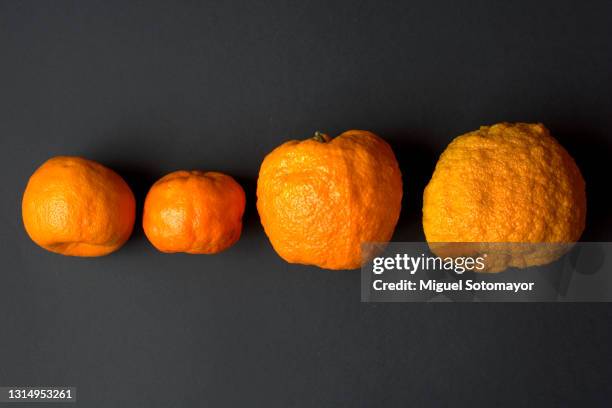 cellulitis. orange peel - cellulite concept stock pictures, royalty-free photos & images