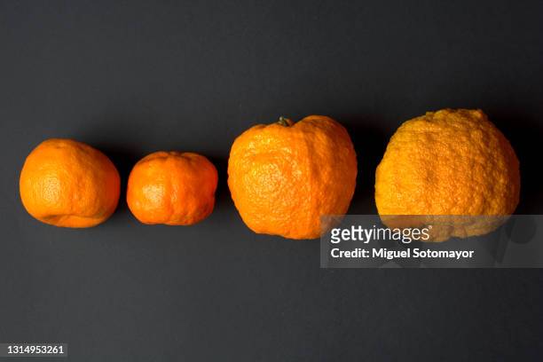 cellulitis. orange peel - cellulit bildbanksfoton och bilder