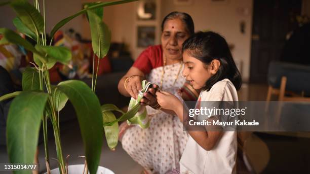 grandmother and granddaughter taking care of their indoor potted plants - daily life in india stock pictures, royalty-free photos & images