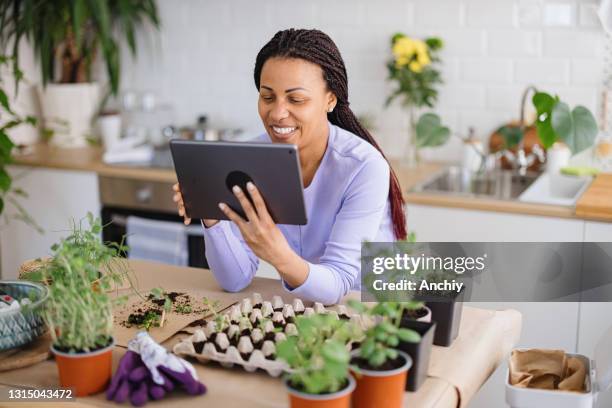 mujer usando una tableta digital para leer /ver algo - gardien de but fotografías e imágenes de stock