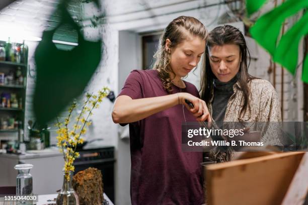 lesbian couple taking care of houseplants together - lgbtq  and female domestic life fotografías e imágenes de stock