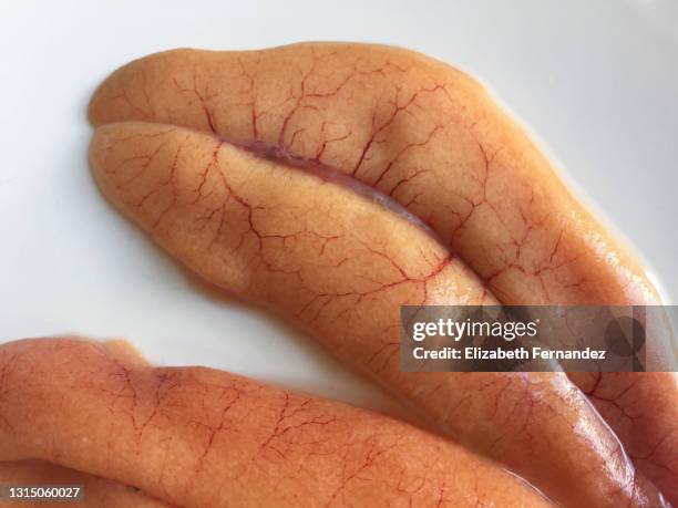 fresh mackerel roe on white background - organe stock-fotos und bilder