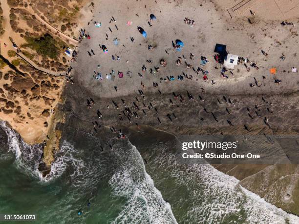 sunbathers on dog beach - del mar california stock-fotos und bilder