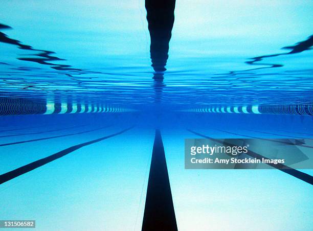 crosshairs - swimming lanes stock pictures, royalty-free photos & images