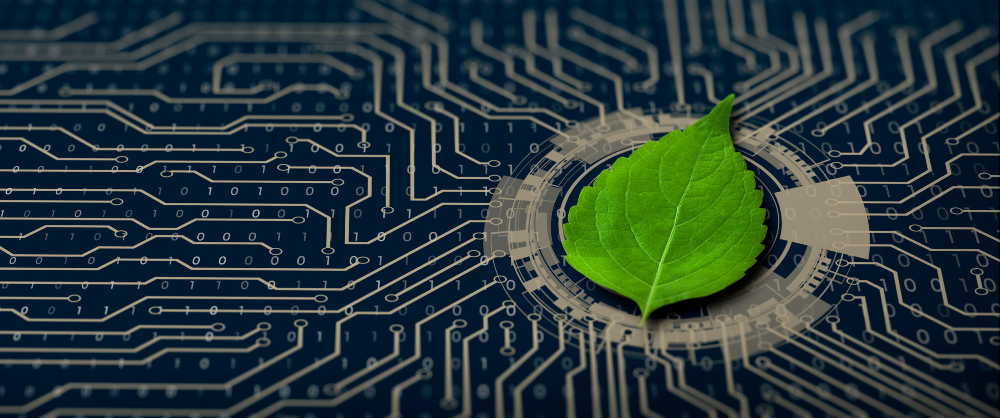 sustainable electronics